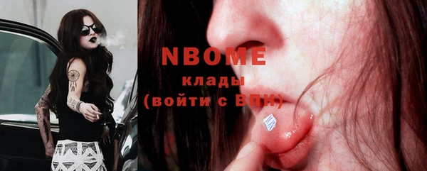 прущие грибы Белокуриха