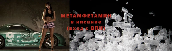 прущие грибы Белокуриха