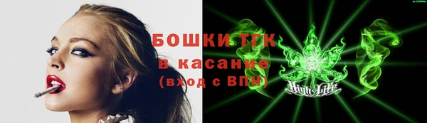 прущие грибы Белокуриха