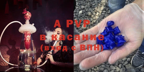 прущие грибы Белокуриха
