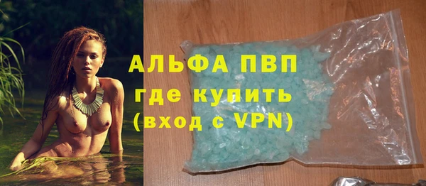 прущие грибы Белокуриха