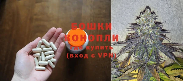 гидропоника Богданович