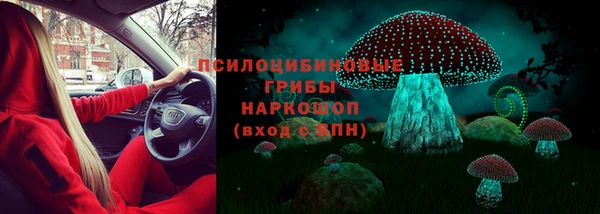 прущие грибы Белокуриха