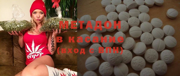 прущие грибы Белокуриха