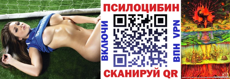 Псилоцибиновые грибы ЛСД Вельск